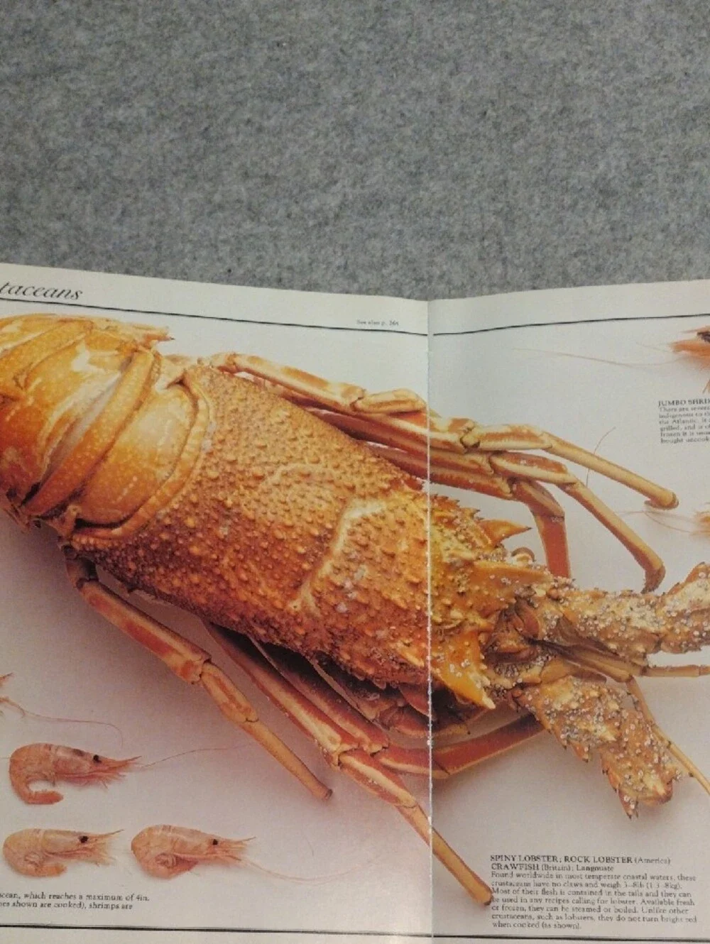Cooks' Ingredients Cookbook - White Cover